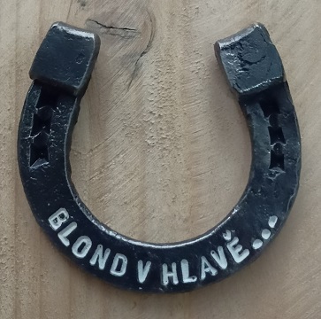 Blond v hlavě