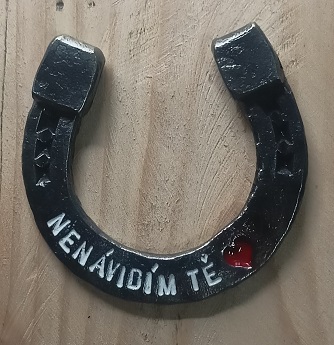 Nenávidím tě ❤