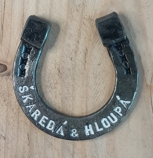 Škaredá & hloupá